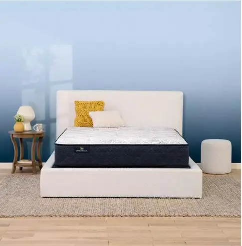 Serta Perfect Sleeper Adoring Night 10.5" Plush Queen mattress for sale in Spring Hill FL